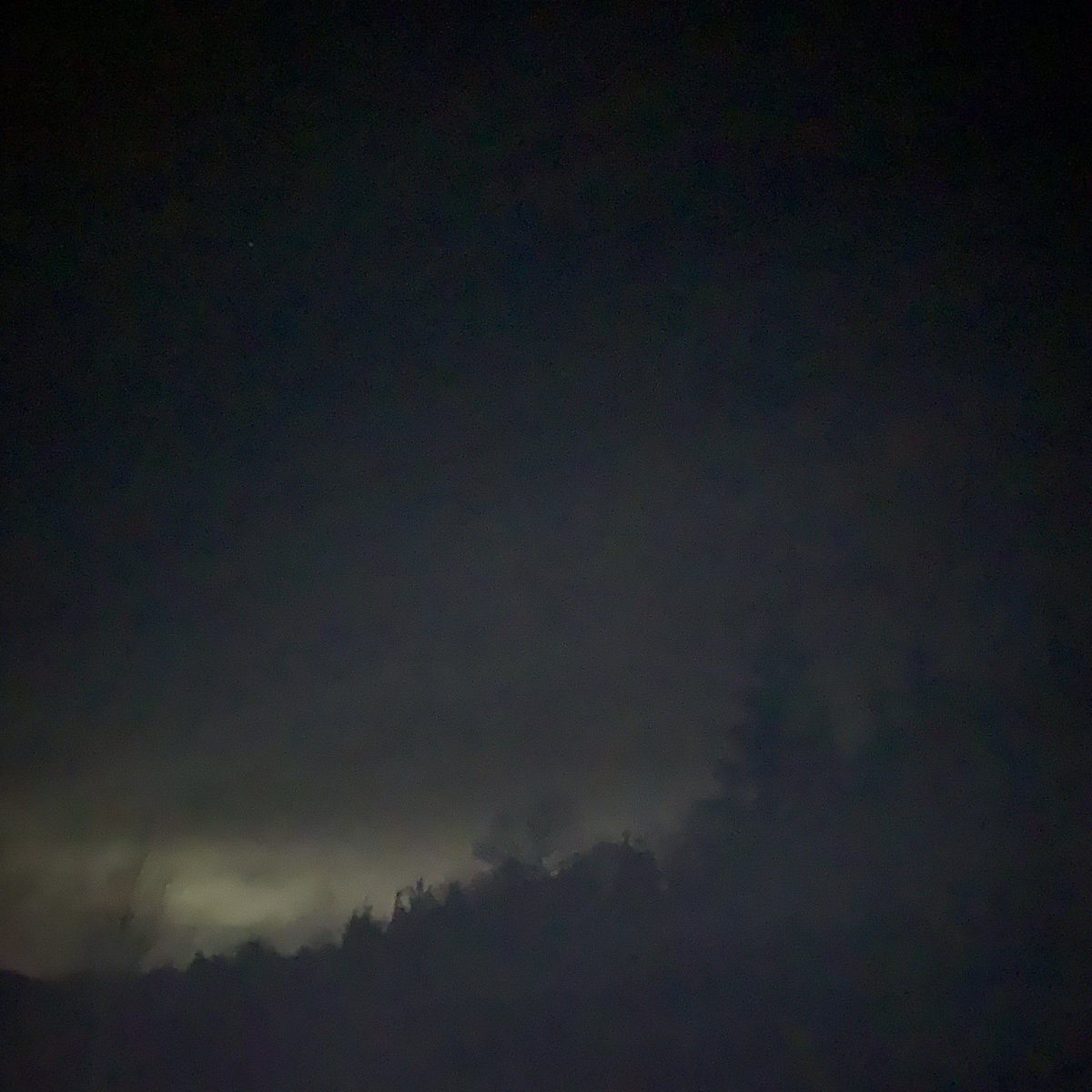 electrasy tweet media