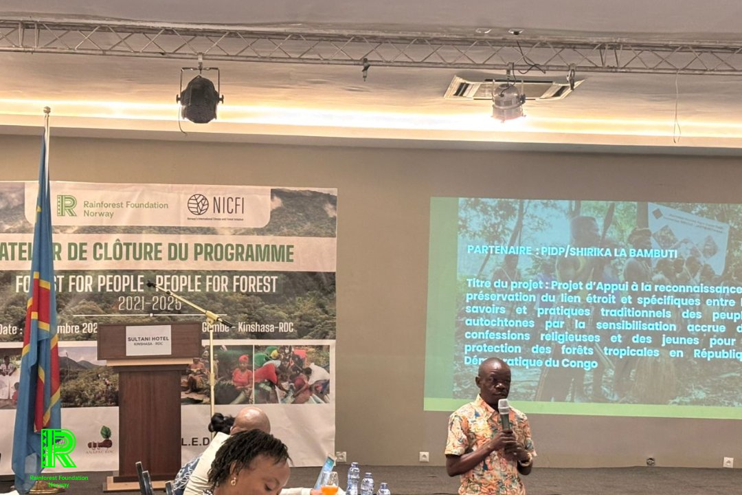 Rainforest Foundation Norway DRC tweet media