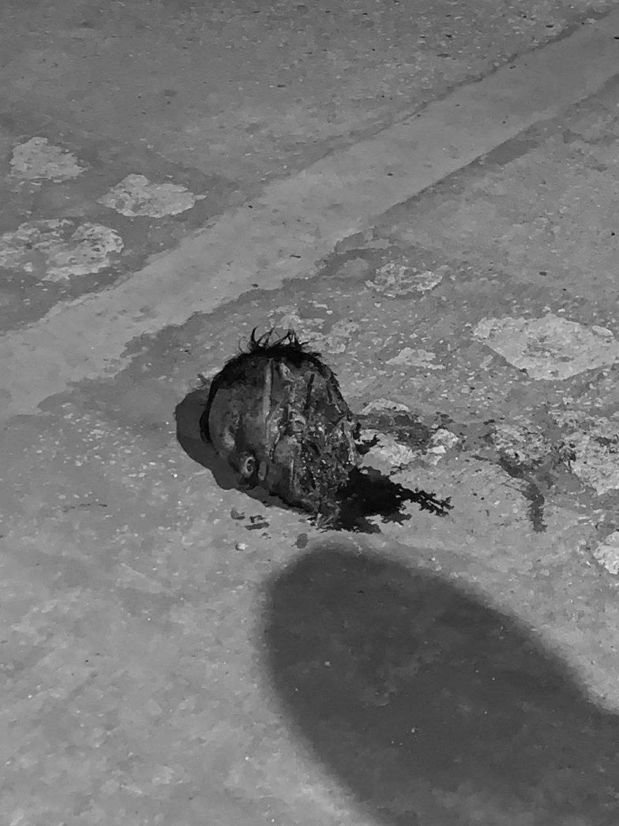 virtualrep29's tweet photo. ⚠️⚠️IMÁGENES ALTAMENTE SENSIBLES: Hombre decapita a otro por ganarle en el billar; después arrojó la cabeza a la calle. Ocurrió en Colombia. https://t.co/bGZN23ldMm