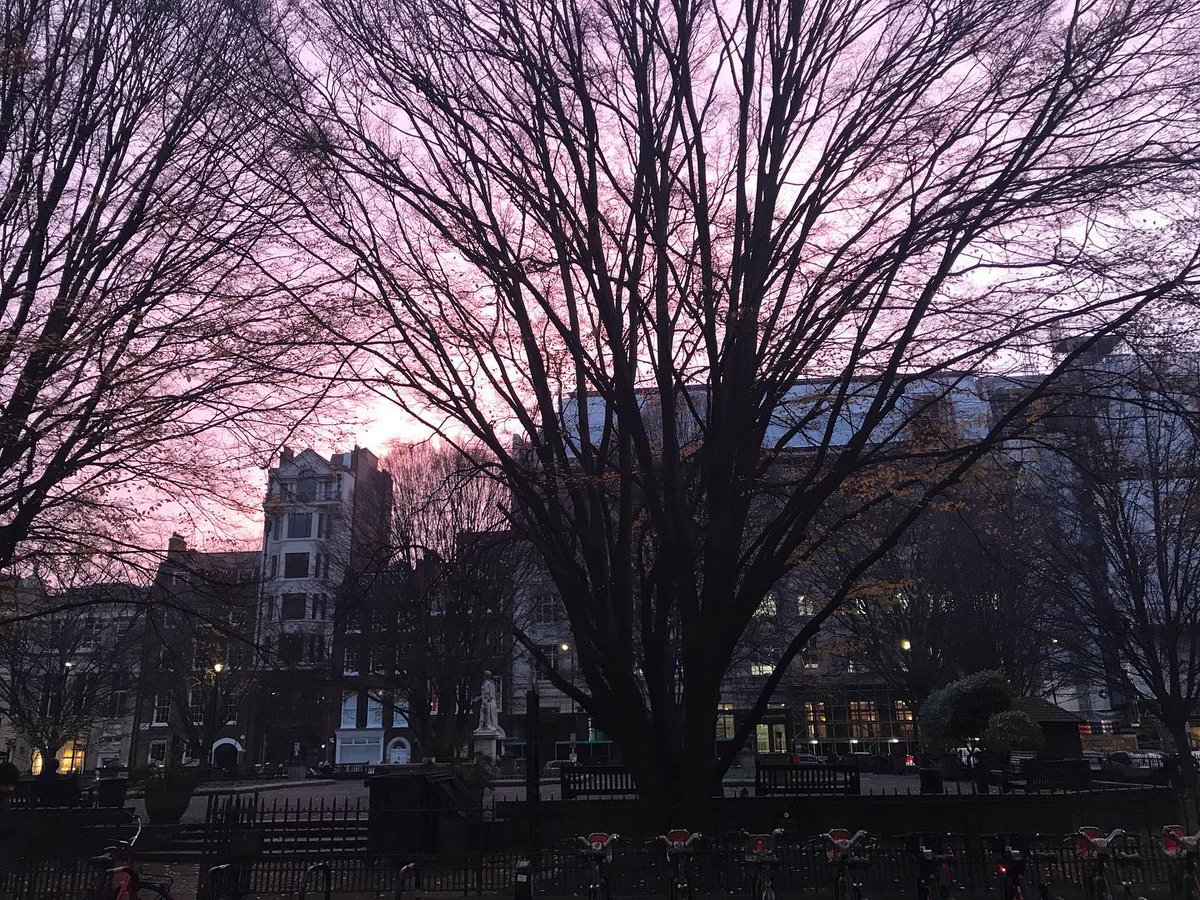 Golden Square, Soho #home