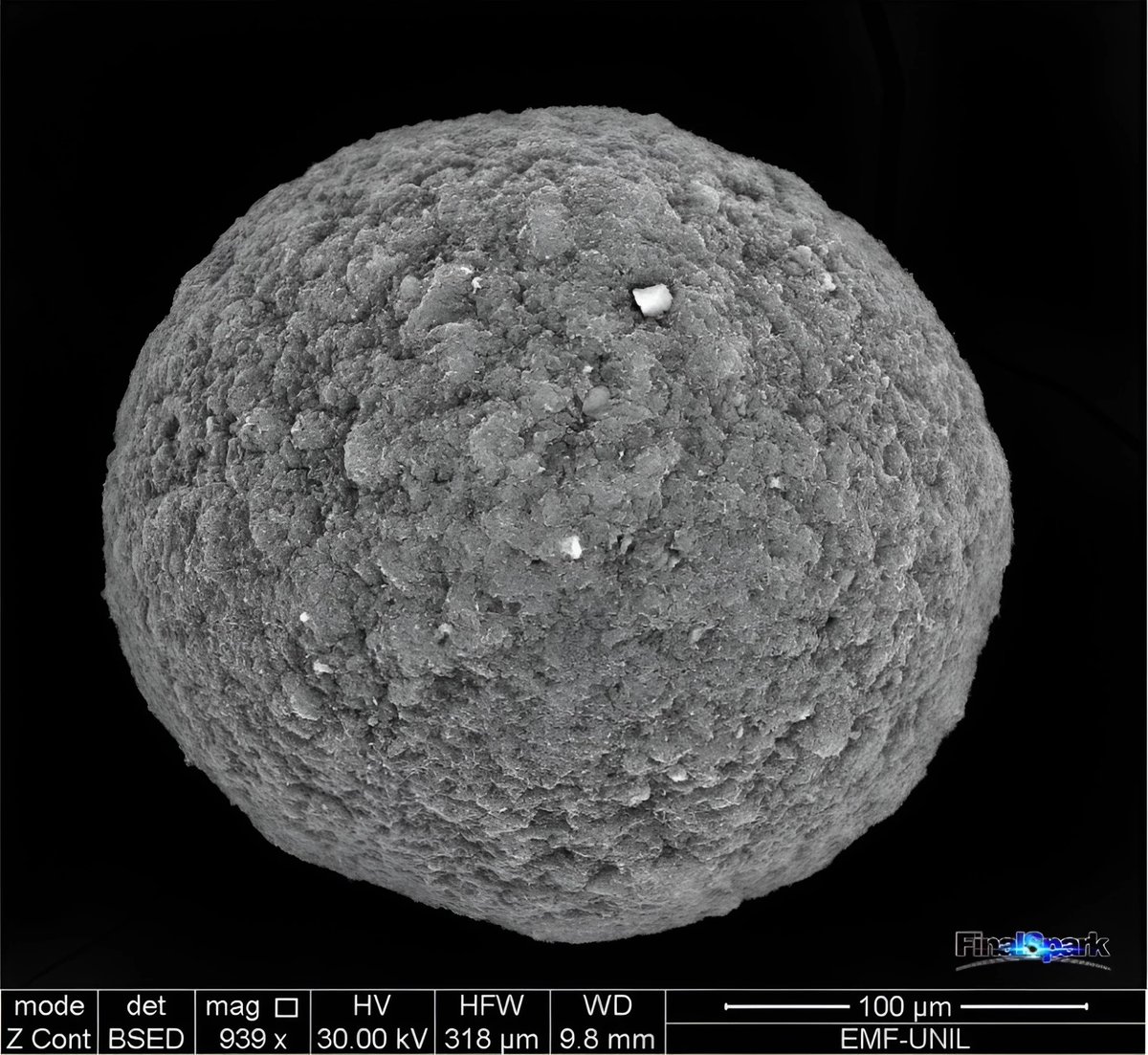 lauriewired's tweet image. Continuing my series on “weird things you can rent in the cloud”

You can zap live human brain cells in a microfluidic life support system in Switzerland and teach it to play games.

Only ~$500 a month.