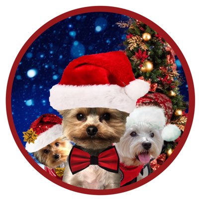 Lord Billy (oh, and Beatrix) tweet media