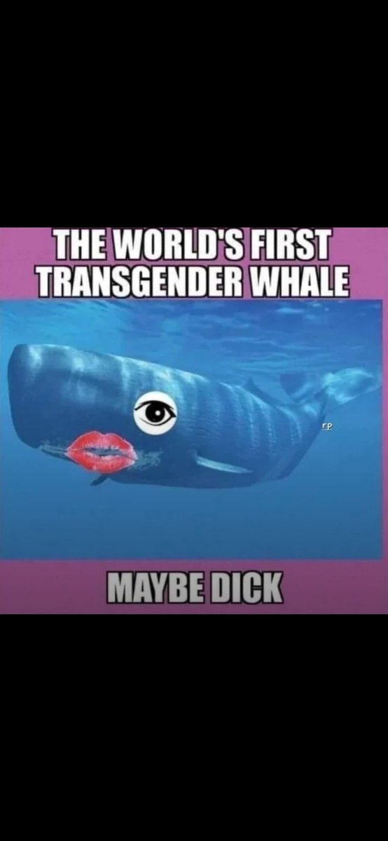 subcat1655's tweet image. 