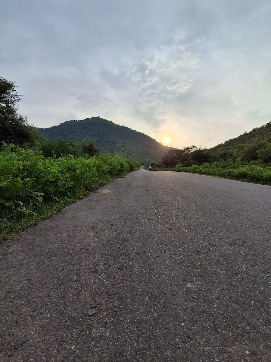 kumar_amit95's tweet photo. #NatureBeauty 
#India https://t.co/BSs0TYCoJO