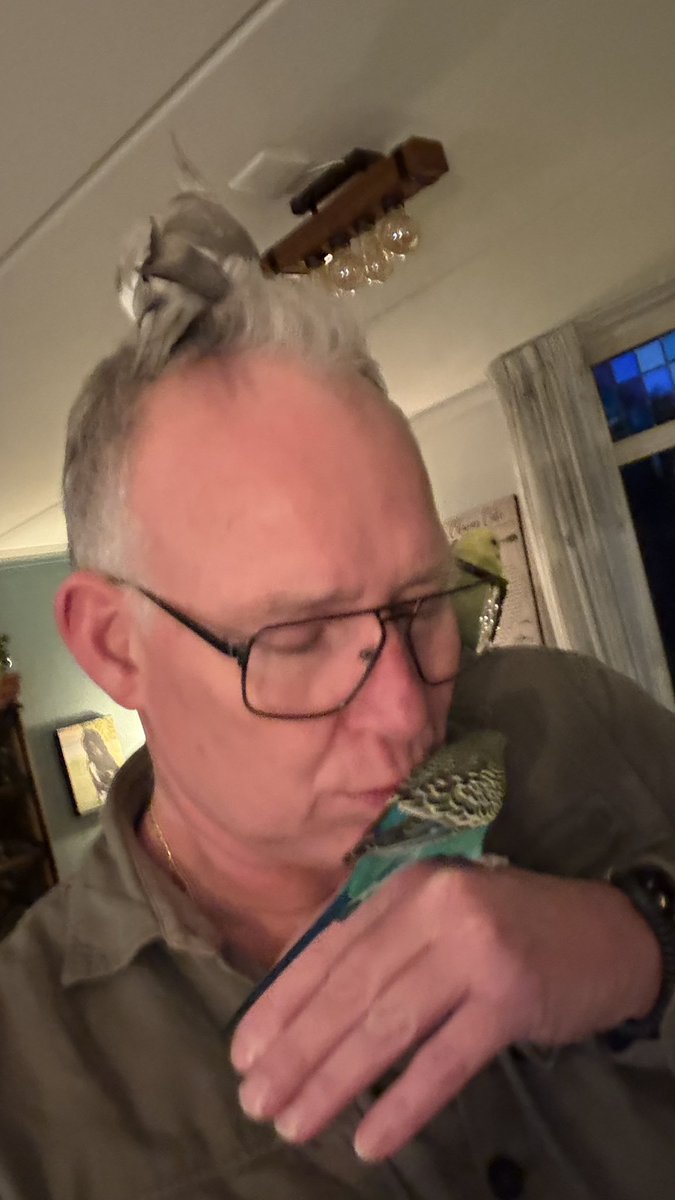 Willem de Jong tweet media