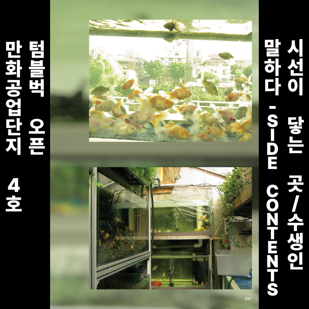 만화공업단지 tweet media