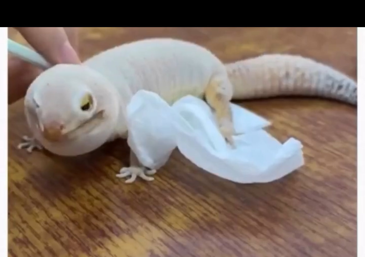 Yemek sonrası oluşan şişkinlik