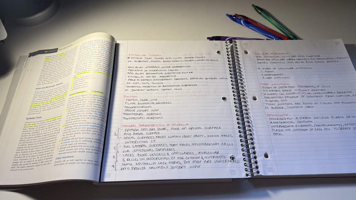 NessiesNotes's tweet image. Hiiii #studytwt first study session for A&amp;amp;P 1, so happy to be posting again! 
#archivetwt