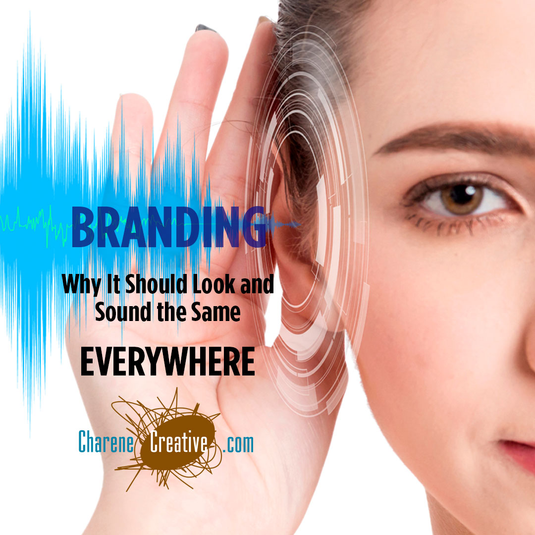 Your brand consistency matters more than you think. ✨

Full article: charenecreative.com/why-your-brand…

#BrandConsistency #SmallBusinessSuccess #BrandingStrategy #MarketingForSmallBusiness #SocialMediaManagement #WebDesign #BusinessGrowth #ContentMarketing #ProfessionalBranding