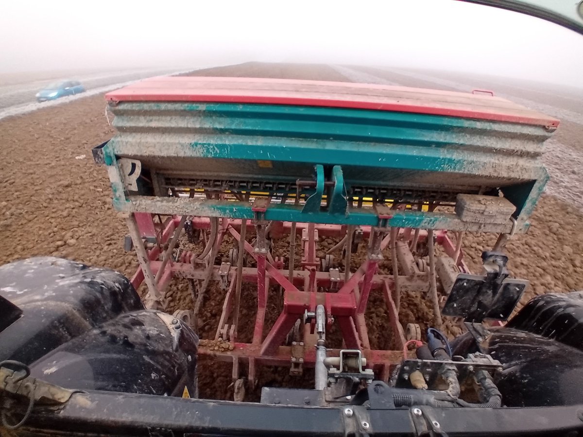 Finalement mon blé semé le 22 novembre verra 2025, grâce à des températures bien supérieures aux normales de saison.

Semer du blé tout l'hiver.