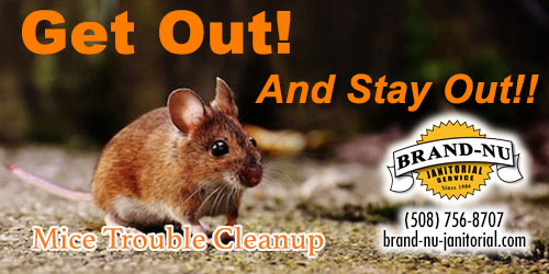 brandnujs's tweet image. Worcester Mass. Mice Trouble Cleanup
When the winter chill hits, everything seems to stop. But somehow, the rodents prevail. They are truly driven to enter YOUR warm and toasty living area.
No way! Forget it!! That’s the attitude.
MORE: bit.ly/4rJyh7F #cleaningservice