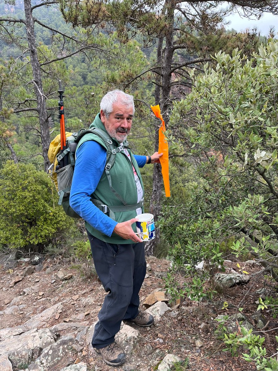 aamp.cat tweet media