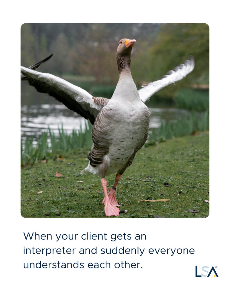 LSAWeb's tweet image. When your client gets an interpreter and suddenly everyone understands each other. 

Powered by LSA — your communication heroes. 👉 okt.to/x5918b

#Interpretation #Translation #LSA