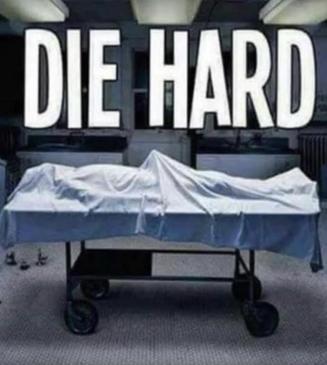 Jessica Morelli tweet media