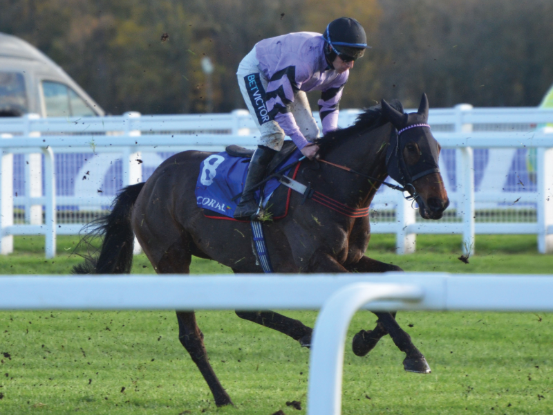 ownersgroupuk's tweet photo. Guard Duty ran a mighty race on his reappearance at Newbury recently, to finish second in a competitive handicap hurdle. He looks set for an exciting campaign.

#GuardDuty #OwnersGroup https://t.co/uH2xM5fiHk
