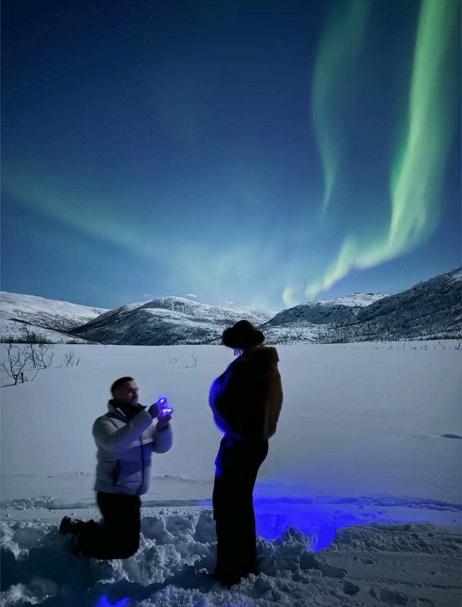 phootoo_'s tweet image. 