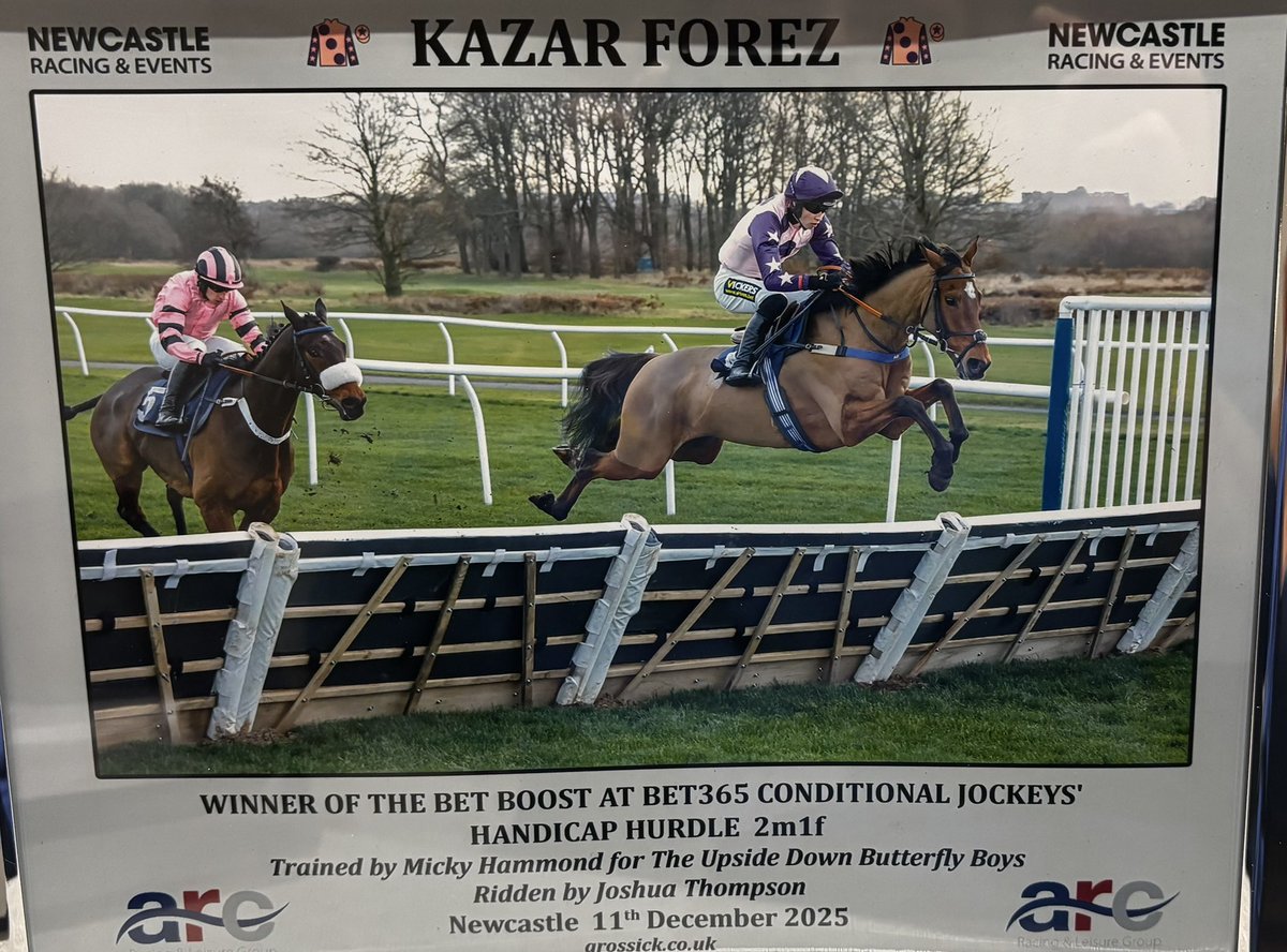 MHammondRacing's tweet photo. Double on the day @NewcastleRaces 🥇 🥇 Hugo and Tractor!  well done to our amazing team at home 💙💛magic day #TeamMH #Winners 🦃 https://t.co/tlcbgARmS6