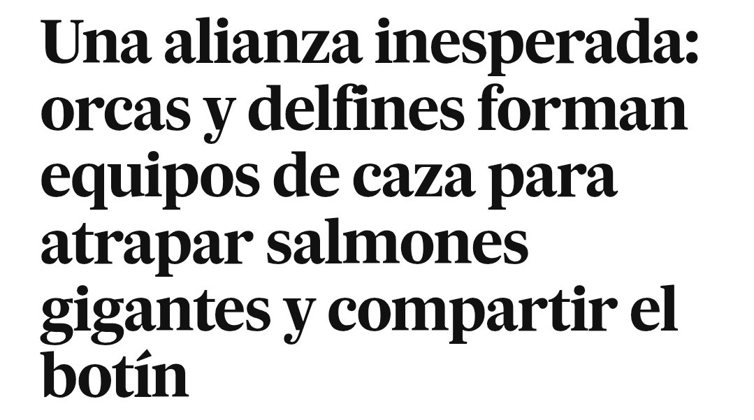 Si fueran como los humanos, los delfines cazarían para las orcas mientras ellas no hacen nada y habría delfines diciendo que son las orcas las que generan riqueza.