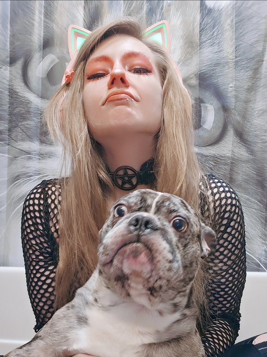 Sy_GameOn's tweet photo. Mr Jon Moxley and I share a familial resemblance.. can you see it? Can you see he is my son? BAHAHAHA.
🥰💜🤣
#frenchbulldog #dogmom #bluemerle https://t.co/spbAS0szVu