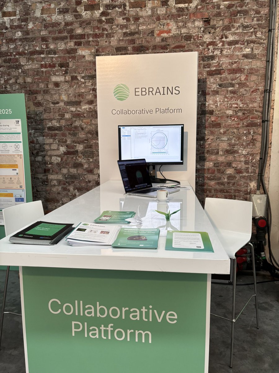 Lia Domide tweet media