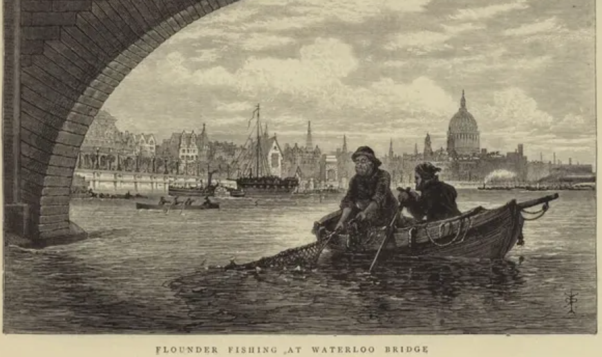 Fish weirs and fish traps were found along the river as far down as northern Kent. They caught large numbers of marine and migratory fish in the 19th and early 20th centuries, especially flatfish like flounders.
2/3