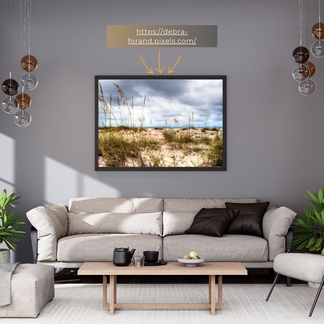 My Coastal Calm Collection offers peace during noisy moments, perfect for gifting or self-treating. Explore fine art prints, canvas wall art, and rights-managed imagery. 👉 Browse the collection: debra-forand.pixels.com/galleries.html