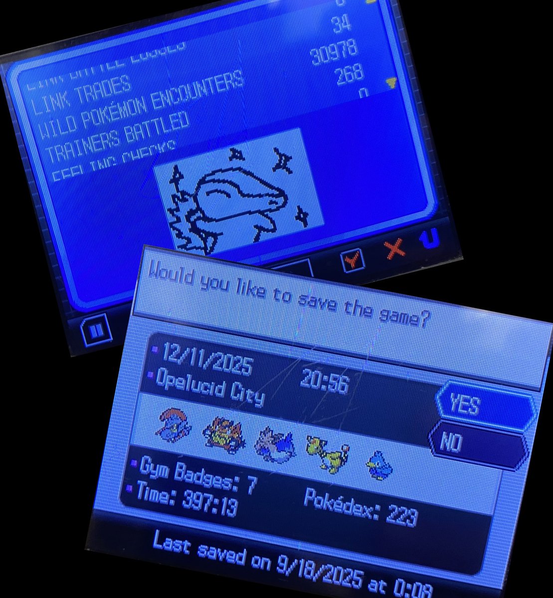weeners64's tweet photo. Been a while since I played White 2 but I finally beat the 7th gym!
Almost 400 hours on this save file so far and a lot more Pokémon has been filled out. 
My latest shiny, Ducklett, was acquired a while back too, it feels nice to have someone who knows both fly and surf now! https://t.co/s70BHVKiqm