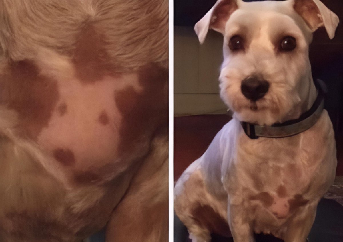 Este we se tatuó a su morra