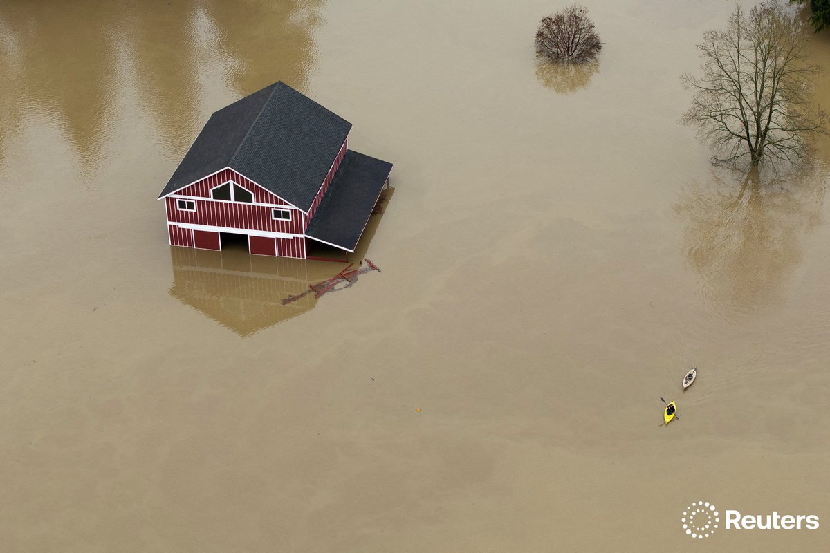 corinne_perkins tweet media