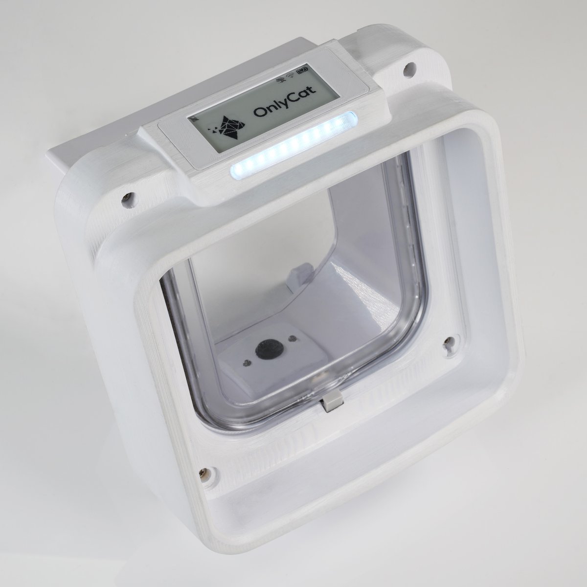 OnlyCatAI tweet media