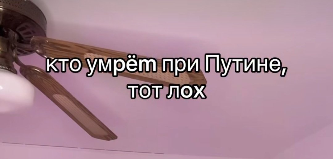 Лосось в кустах черники tweet media