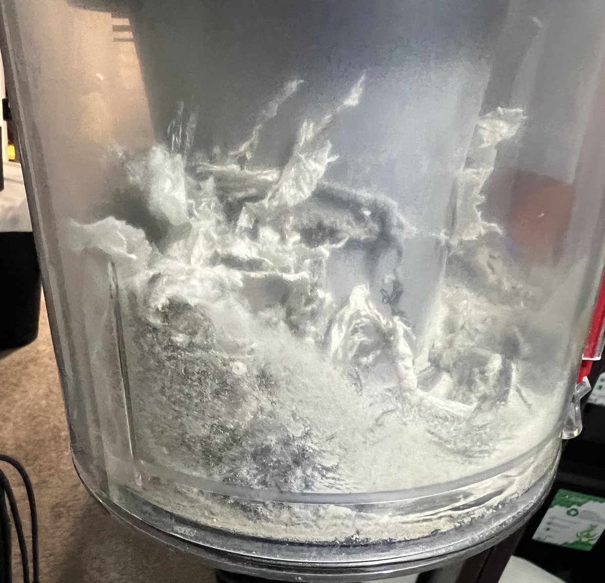 iansullivan5's tweet photo. Really love my @Dyson Ball Animal 3! Gets lots of dirt and dust vacuuming once a week! Just from my room, mattress and the basement. https://t.co/MdIdmgTFCD