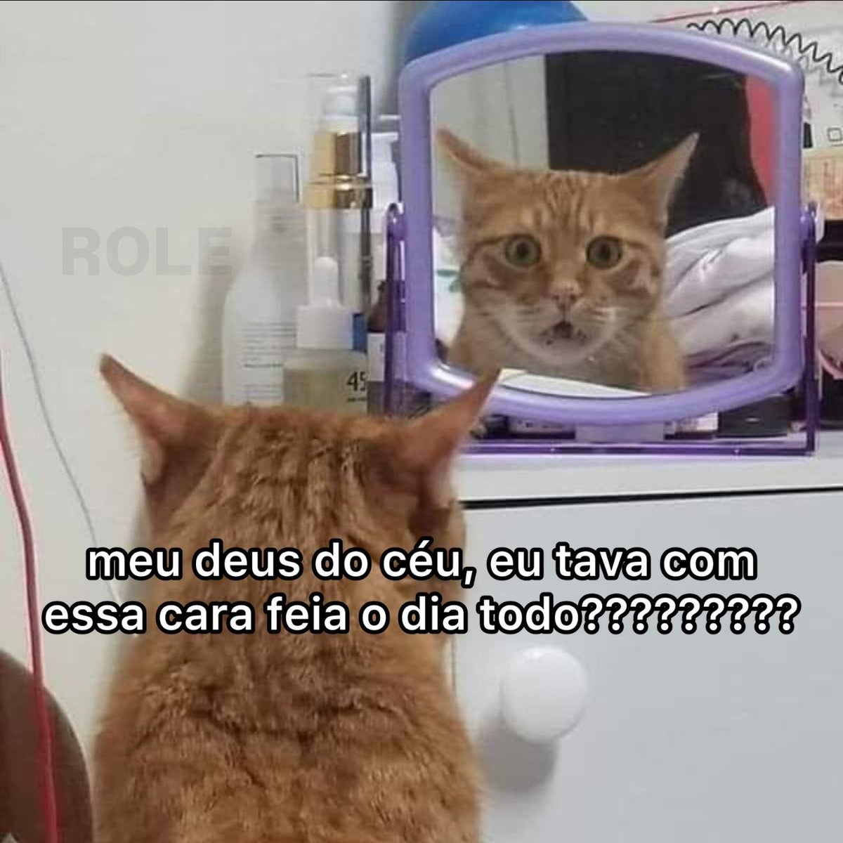 Rolê Aleatório (@rolealeatorio) on Twitter photo 