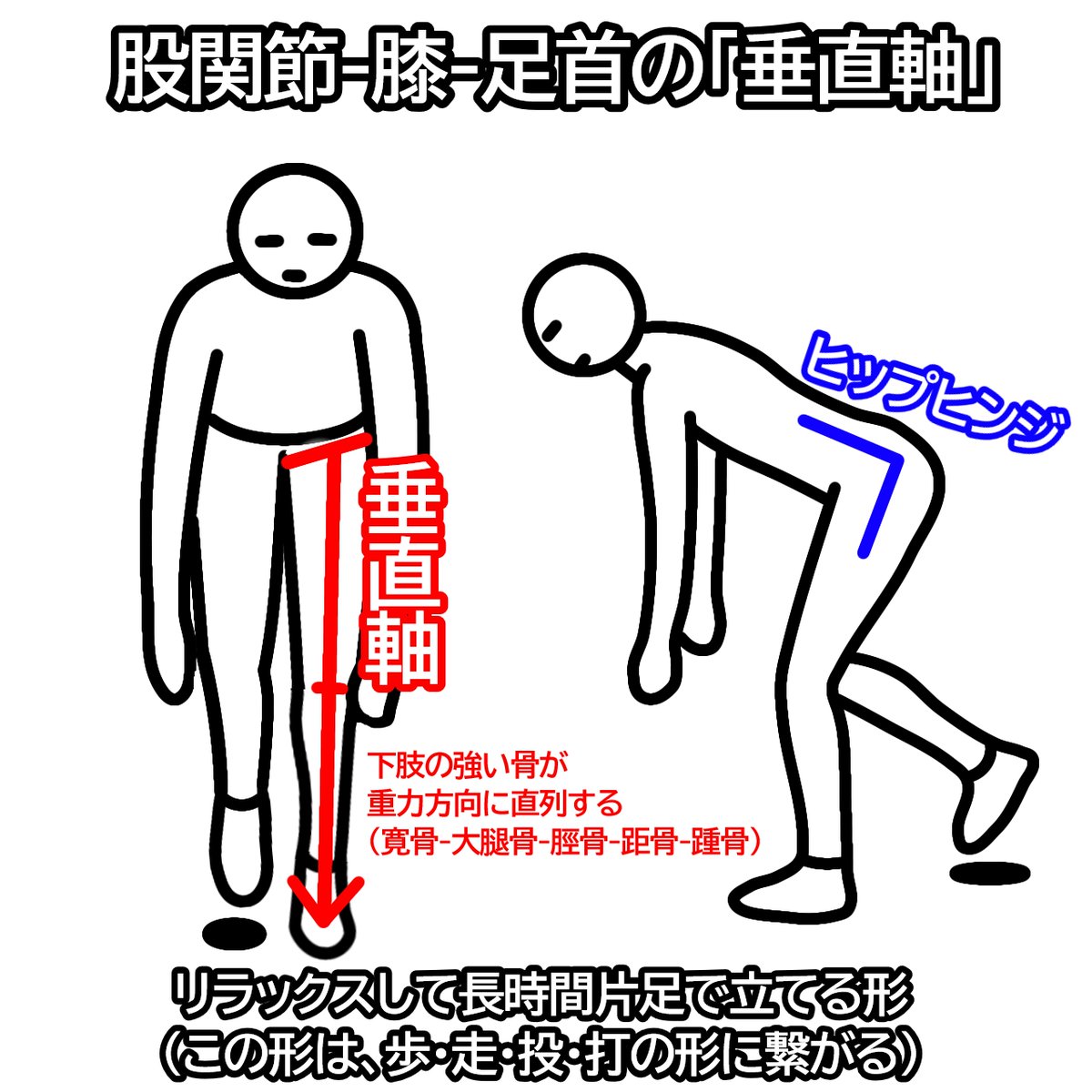 日本打撃研究所 | NBL tweet media