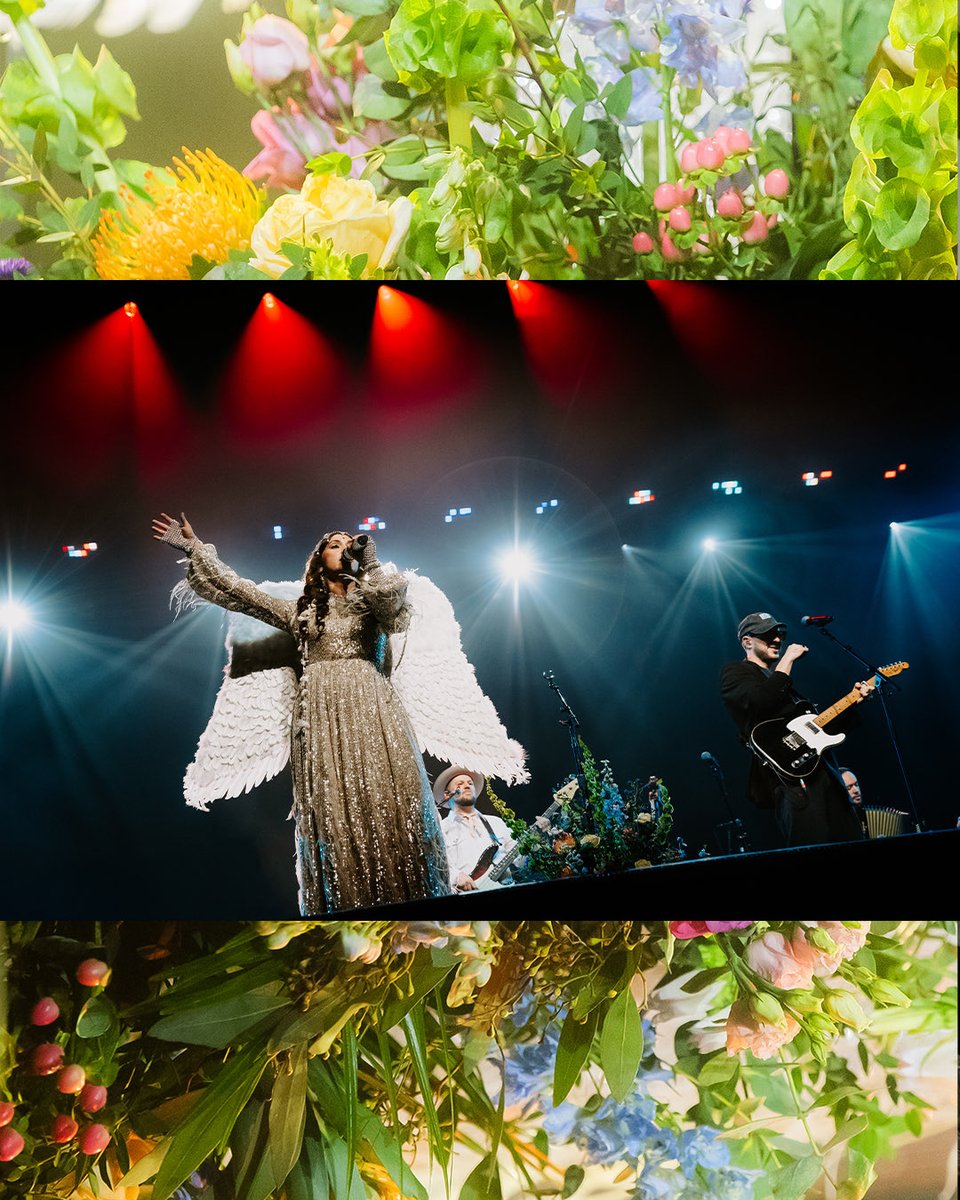 SierraFerrell's tweet photo. Sheffield, you lifted my spirits high 🪽
Our voices together felt nothing short of a holy choir 👼 🙏
Until we meet again 🤍 https://t.co/bRUrT5QJx5