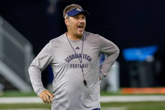 gatorsszn's tweet photo. BREAKING: Florida has officially announced the hire of Georgia Tech OC Buster Faulkner 🐊

HUGE. https://t.co/rrTvUvXerP