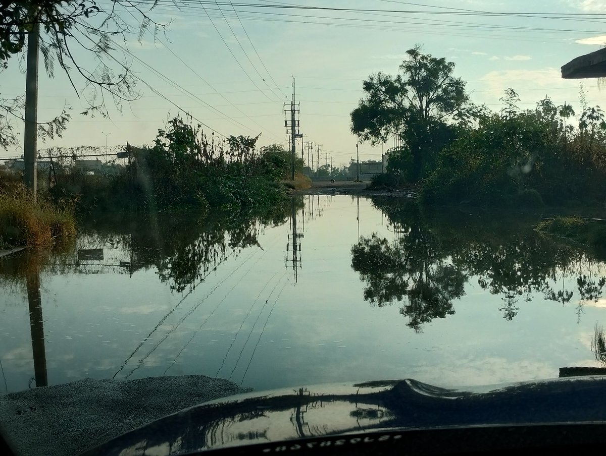Alexlittlehands's tweet photo. @SergioChavez_D @siapagdl @SeguridadTon 
Buenas tardes el problema de las aguas negras persiste en las calles Coyula y jilguero sur en Tonalá. 

Urge que destapen el drenaje ya que va aumentando el nivel, despide un olor desagradable. https://t.co/KrAsjT4B0l