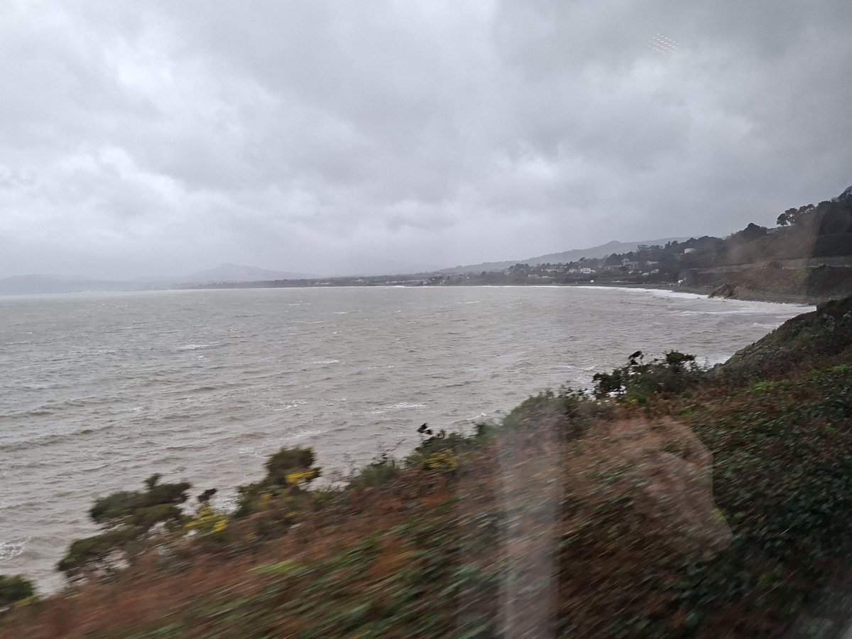 Paliparan tweet media