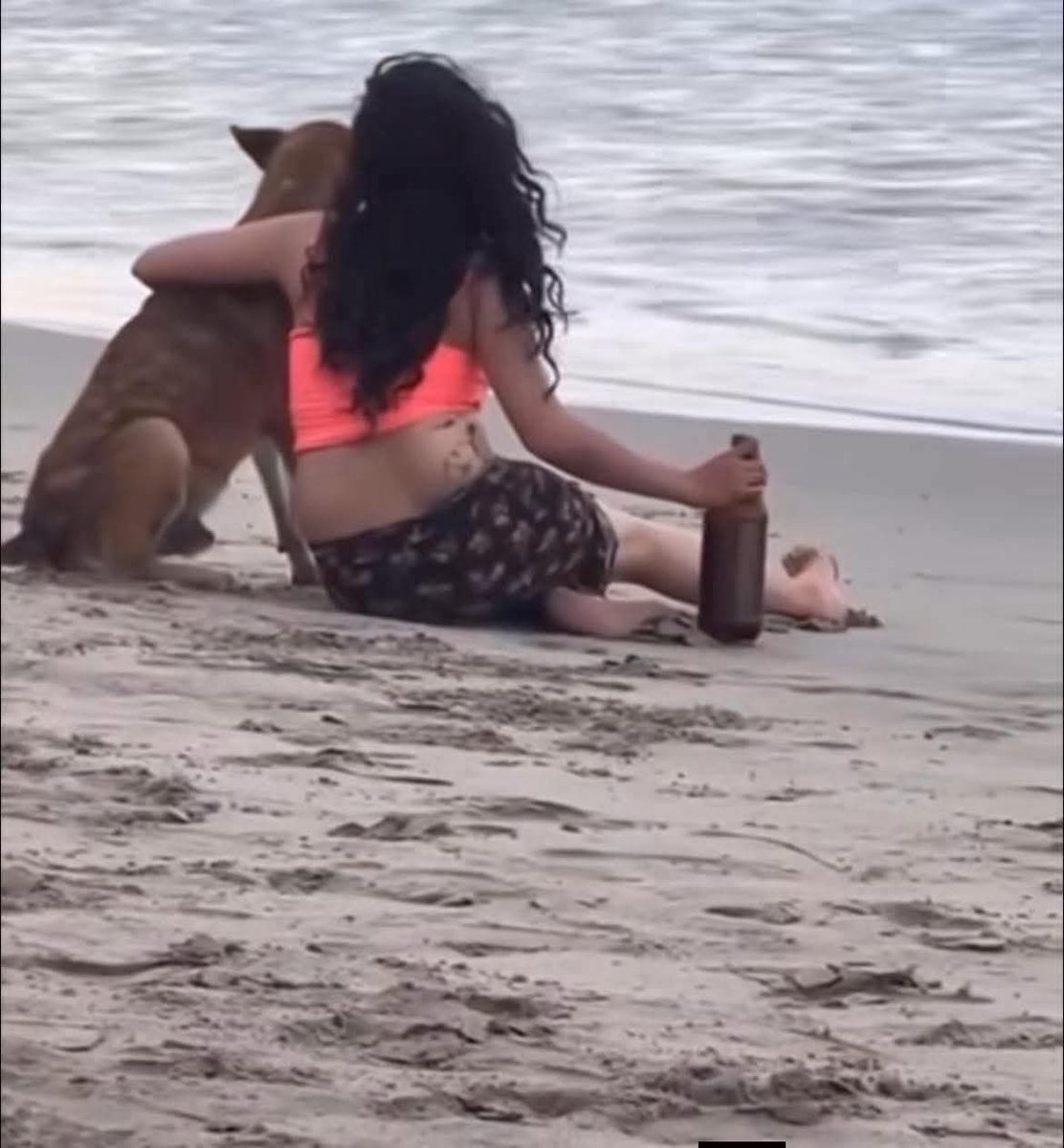 DiloConPerritos's tweet photo. Esto y no saber de nadie… https://t.co/nP1s3hJ6s8
