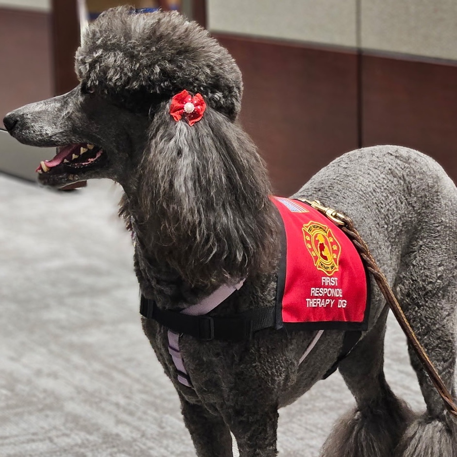 Our team had a special visitor today — Tula, a First Responder Therapy Dog! 🐾

First Responder Therapy Dogs support our frontline heroes with trained therapy dogs who help lower stress, boost focus, and improve overall well-being. Services are free!

firstrespondertherapydogs.org