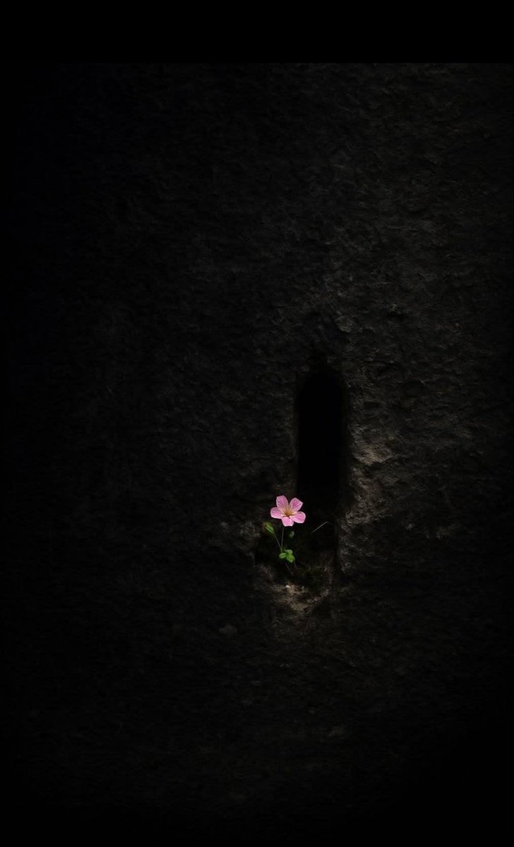 “En iyisi ve en soylusu, vazgeçmektir."

#iyigeceler #GeceyeBirNot