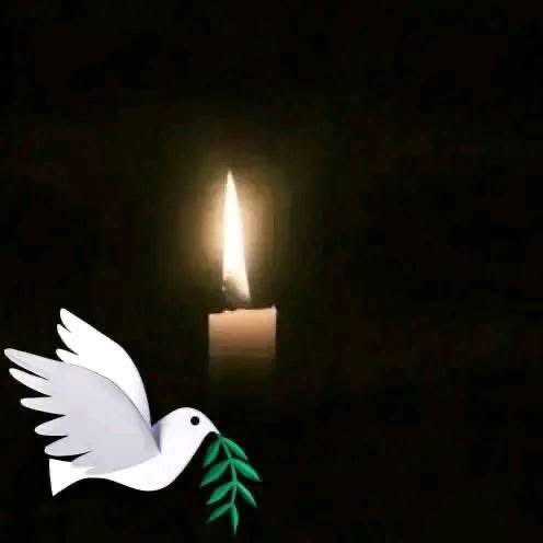 FOR IMMEDIATE RELEASE

NANS MOURNS THE TRAGIC LOSS OF EIGHT UNIVERSITY OF JOS STUDENTS IN A DEVASTATING ROAD ACCIDENT, CALLS FOR URGENT ROAD SAFETY REFORMS

The National Association of Nigerian Students (NANS) is deeply saddened by the heartbreaking road accident that claimed the