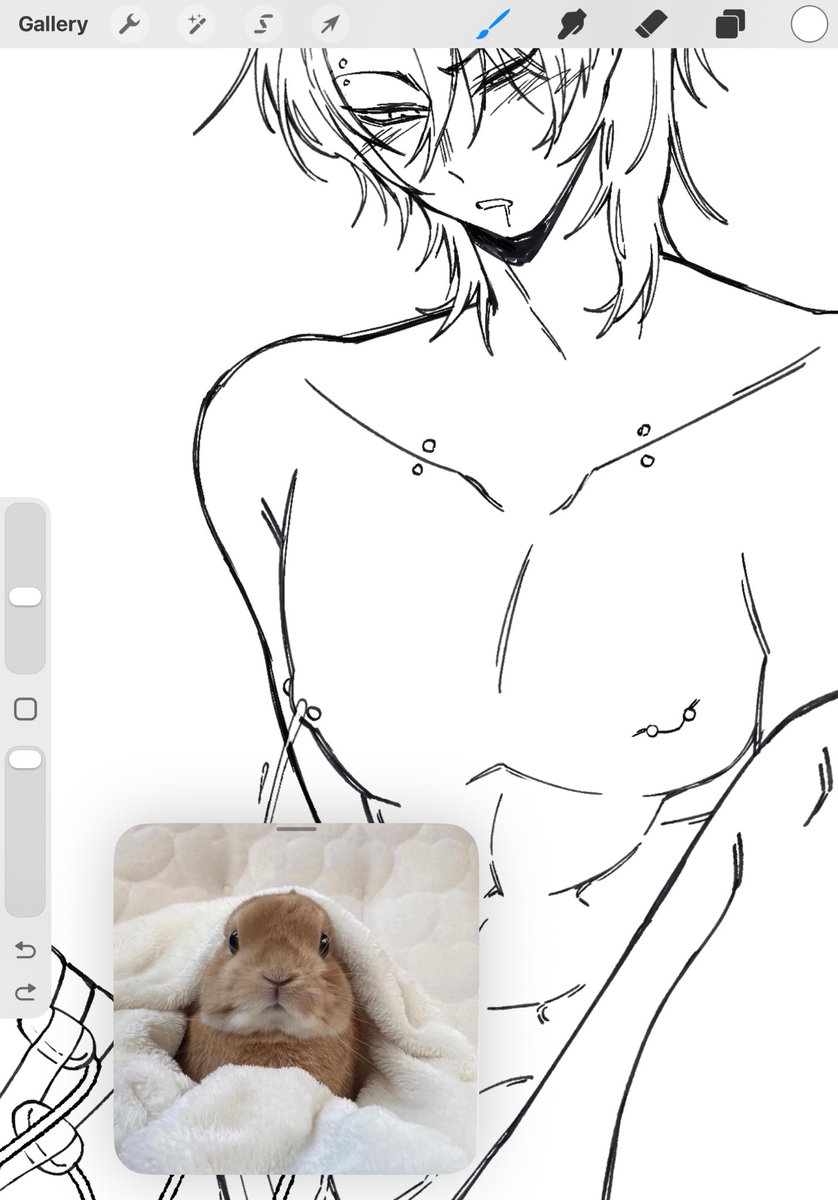 Can you look after him for me? I’ll be back in a few weeks