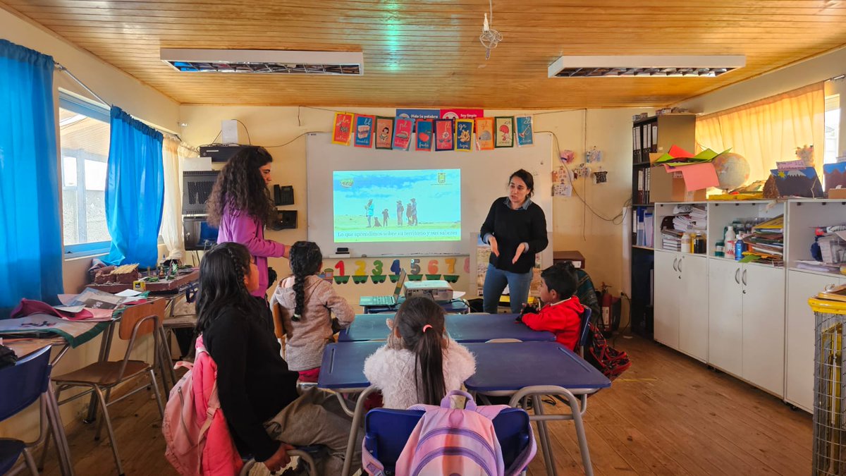AndesPeat's tweet photo. Volviendo al territorio: aprendizajes compartidos en el altiplano 🌿Junto a las comunidades escolares de Guacoyo / Chujlluta, Gral. Lagos compartimos saberes sobre identidad territorial, ecosistemas altoandinos y la importancia de los bofedales #AndesPeat #Educación #Bofedales https://t.co/vsmVgYfeQD