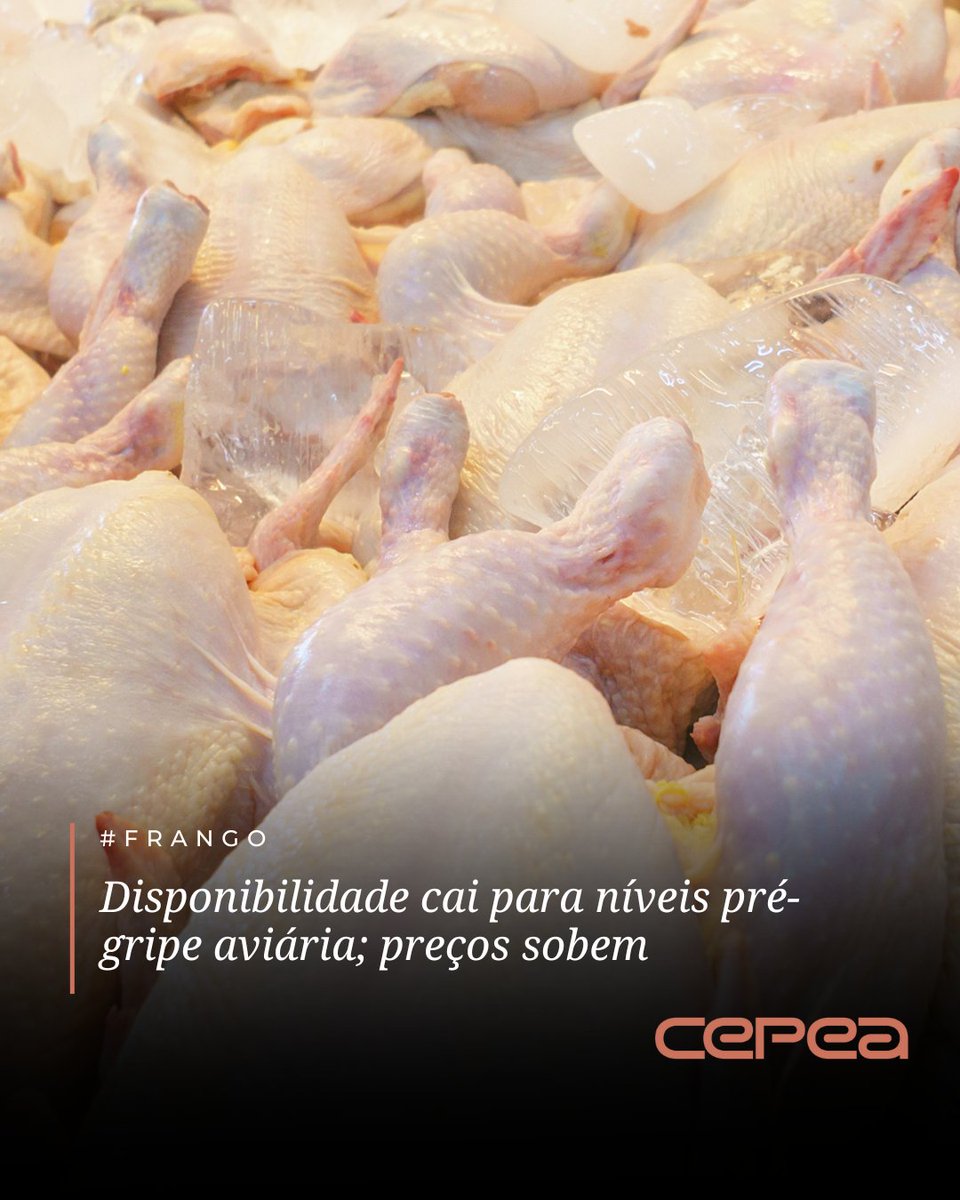 CepeaEsalq's tweet image. #FRANGO – Dados divulgados nesta semana pelo IBGE e analisados pelo Cepea confirmam a redução na disponibilidade interna de carne de frango entre agosto e setembro, para níveis pré-gripe aviária.

Segundo o Centro de Pesquisas, a retomada gradativa dos embarques brasileiros da