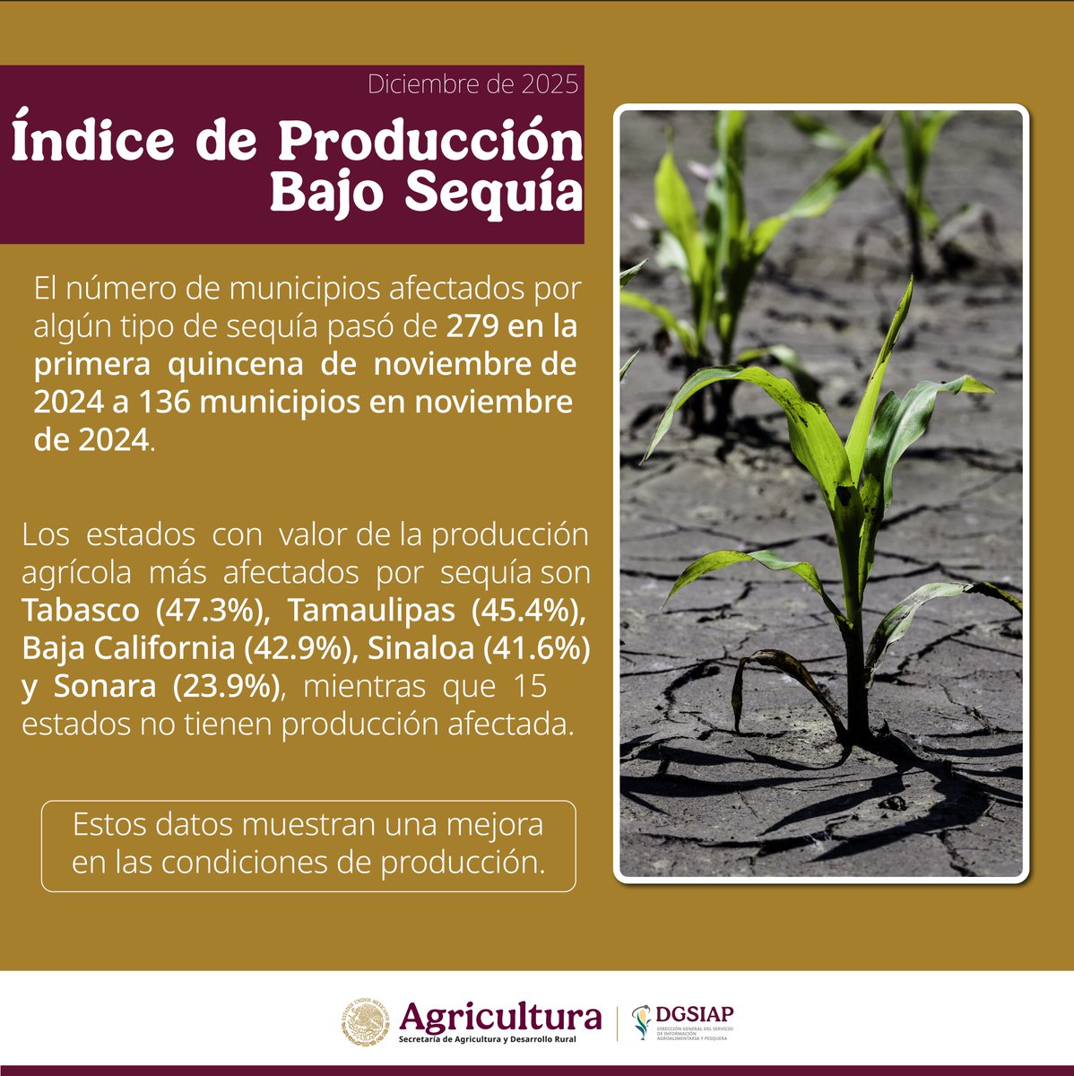 En noviembre de 2025, la proporción del valor de la producción agrícola afectada por sequía fue de 14.4%, menos de la mitad de lo observado un año antes. Los cultivos de arroz, frijol, maíz blanco y trigo registraron disminuciones significativas en sus niveles de afectación,