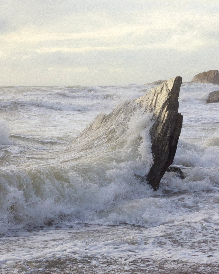 TIDEMRKT tweet media