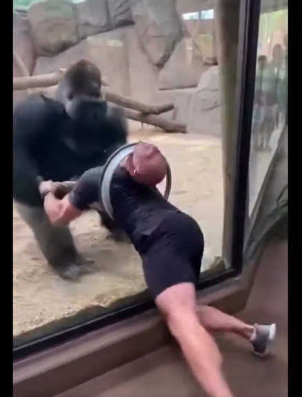 CNS COMEDY tweet media