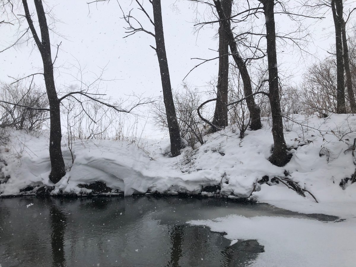 Haley (@grandmaseyes) on Twitter photo 