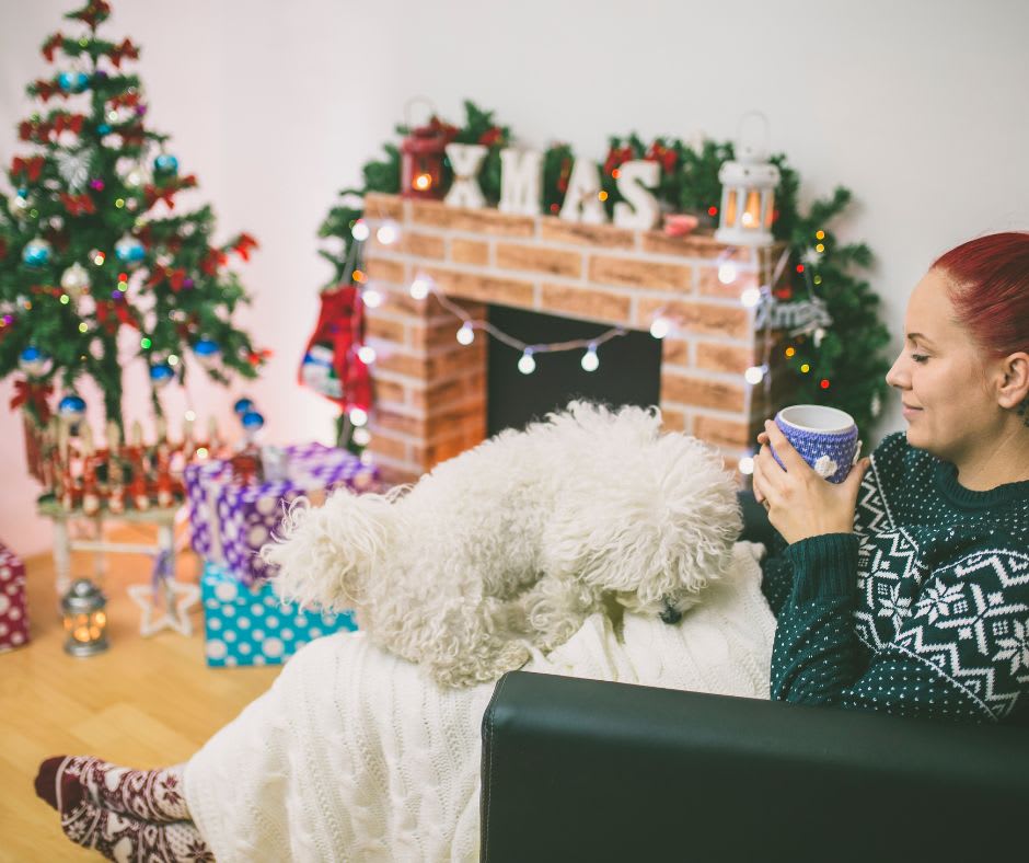keystonecrpts's tweet photo. Hot cocoa in hand, twinkle lights glowing, and floors that make your home feel warm from the ground up. Cozy season looks good on you. 📷📷
https://t.co/xVBnvJBJRF
We Bring the Showroom to you!
Free In-Home Estimates &amp; Measuring! https://t.co/d81hmMJjqo